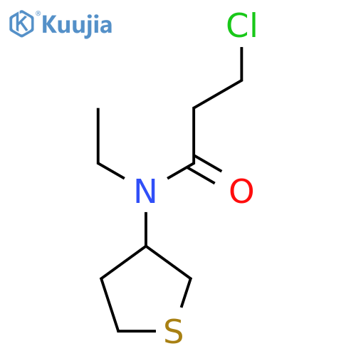3-chloro-N-ethyl-N-(tetrahydrothiophen-3-yl)propanamide structure