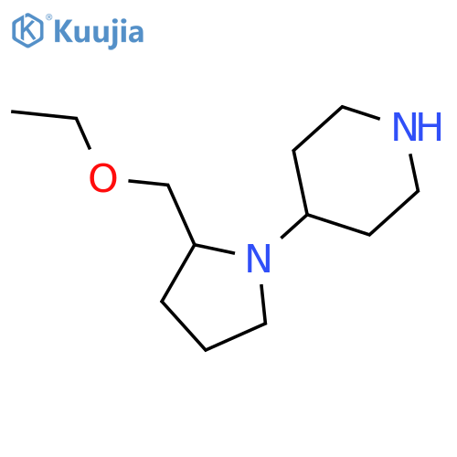 4-(2-(Ethoxymethyl)pyrrolidin-1-yl)piperidine structure