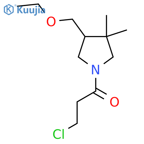 3-Chloro-1-(4-(ethoxymethyl)-3,3-dimethylpyrrolidin-1-yl)propan-1-one structure