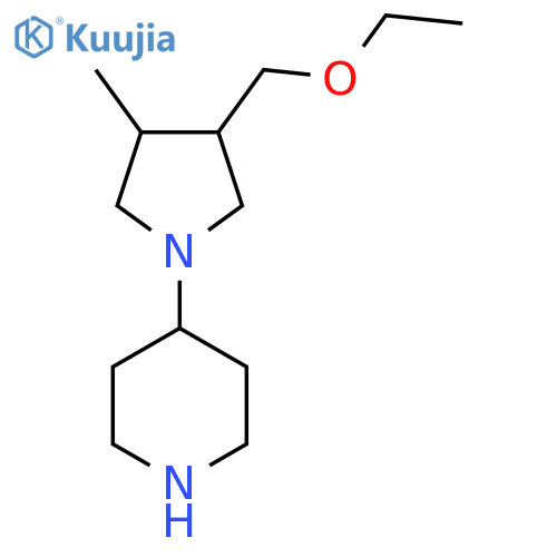 4-(3-(Ethoxymethyl)-4-methylpyrrolidin-1-yl)piperidine structure