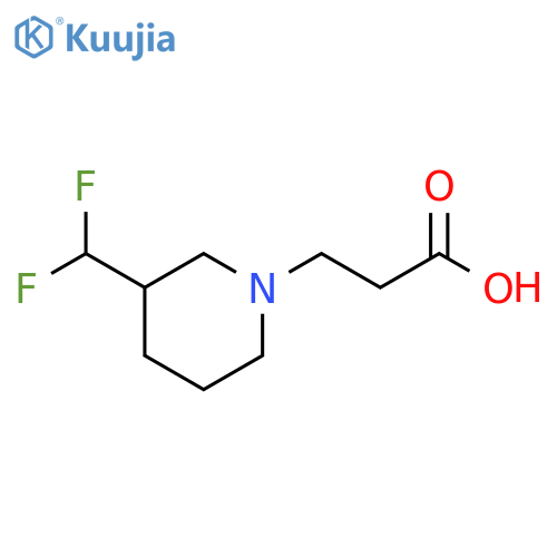 3-(3-(difluoromethyl)piperidin-1-yl)propanoic acid structure
