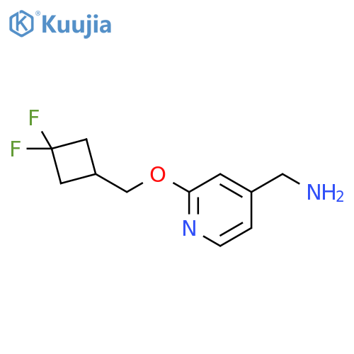 [2-[(3,3-difluorocyclobutyl)methoxy]-4-pyridyl]methanamine structure