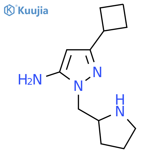 3-cyclobutyl-1-(pyrrolidin-2-ylmethyl)-1H-pyrazol-5-amine structure