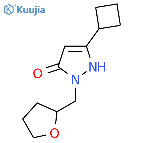3-cyclobutyl-1-((tetrahydrofuran-2-yl)methyl)-1H-pyrazol-5-ol structure