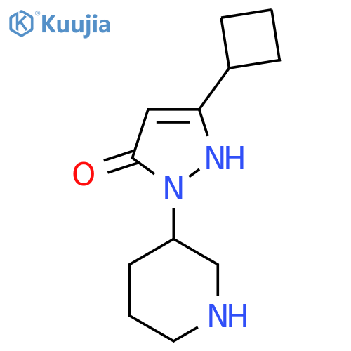 3-cyclobutyl-1-(piperidin-3-yl)-1H-pyrazol-5-ol structure