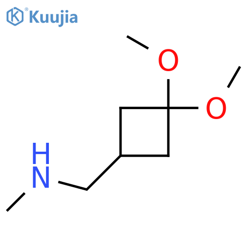 1-(3,3-dimethoxycyclobutyl)-N-methylmethanamine structure
