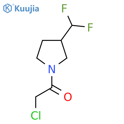 2-chloro-1-[3-(difluoromethyl)pyrrolidin-1-yl]ethan-1-one structure