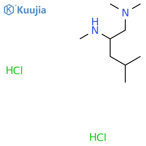 N1,N1,N2,4-Tetramethylpentane-1,2-diamine dihydrochloride structure