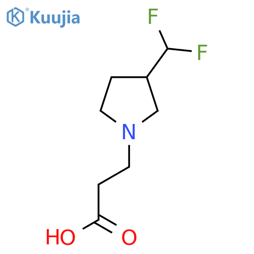 3-(3-(Difluoromethyl)pyrrolidin-1-yl)propanoic acid structure