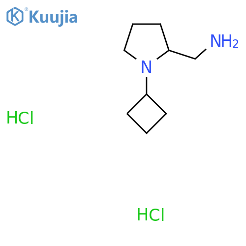 (1-Cyclobutylpyrrolidin-2-yl)methanamine dihydrochloride structure