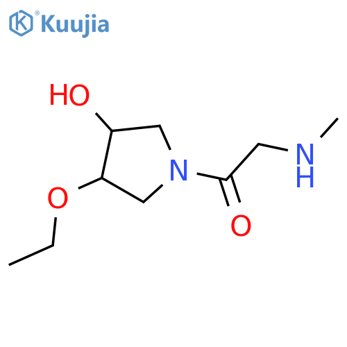 1-(3-Ethoxy-4-hydroxypyrrolidin-1-yl)-2-(methylamino)ethan-1-one structure