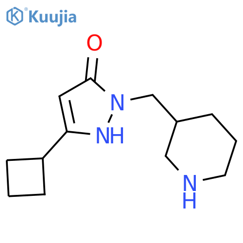 3-cyclobutyl-1-(piperidin-3-ylmethyl)-1H-pyrazol-5-ol structure
