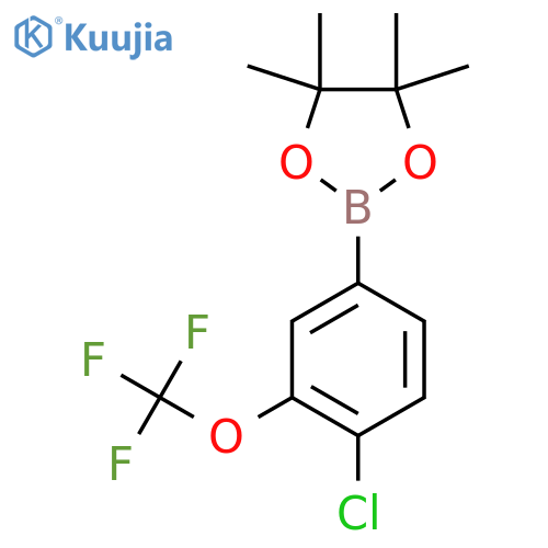 2-4-chloro-3-(trifluoromethoxy)phenyl-4,4,5,5-tetramethyl-1,3,2-dioxaborolane structure