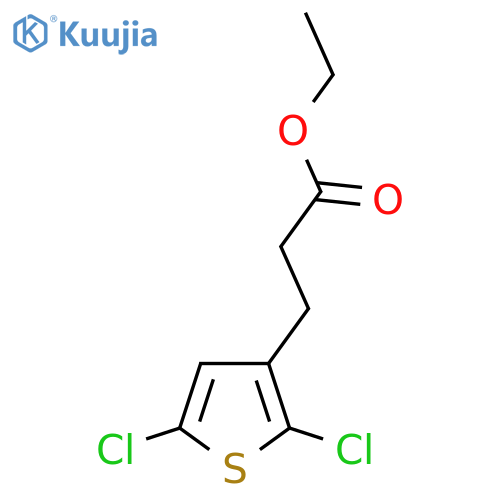 Ethyl 3-(2,5-dichlorothiophen-3-yl)propanoate structure