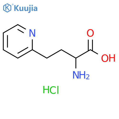 2-amino-4-(pyridin-2-yl)butanoic acid dihydrochloride structure