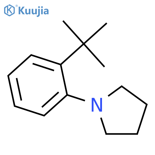 1-2-(1,1-Dimethylethyl)phenylpyrrolidine structure