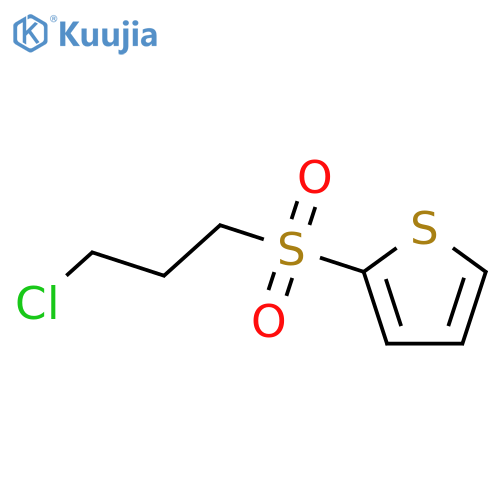 Thiophene, 2-[(3-chloropropyl)sulfonyl]- structure