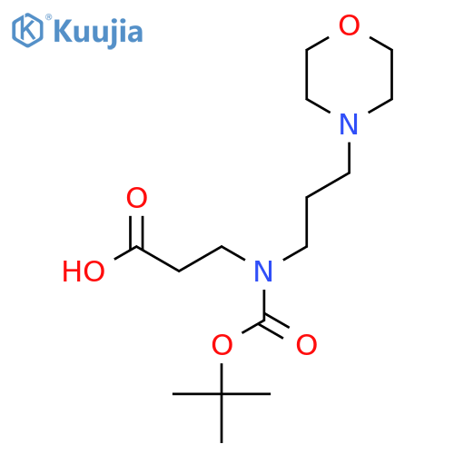 3-{[(Tert-butoxy)carbonyl][3-(morpholin-4-yl)propyl]amino}propanoic acid structure