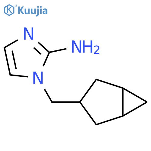 1-({bicyclo3.1.0hexan-3-yl}methyl)-1H-imidazol-2-amine structure