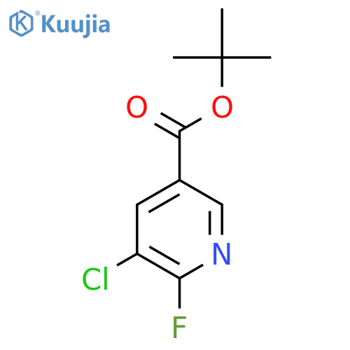 Tert-Butyl 5-chloro-6-fluoronicotinate structure