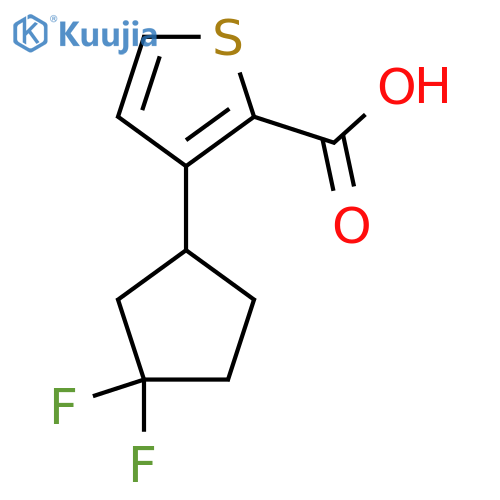 3-(3,3-Difluorocyclopentyl)thiophene-2-carboxylic acid structure