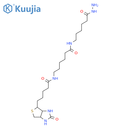 Biotin-XX hydrazide structure