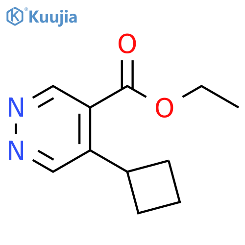 ethyl 5-cyclobutylpyridazine-4-carboxylate structure