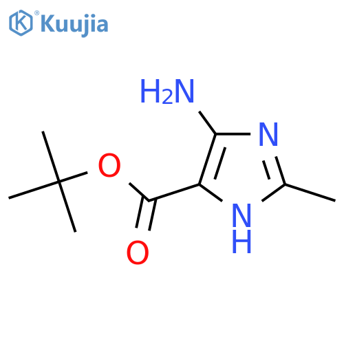 Tert-butyl 4-amino-2-methyl-1H-imidazole-5-carboxylate structure