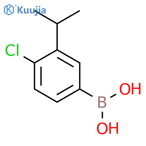 4-Chloro-3-isopropylbenzeneboronic acid structure