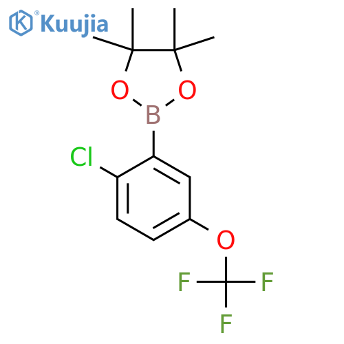 2-2-chloro-5-(trifluoromethoxy)phenyl-4,4,5,5-tetramethyl-1,3,2-dioxaborolane structure