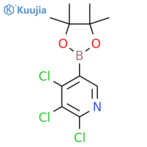 2,3,4-Trichloropyridine-5-boronic acid pinacol ester structure