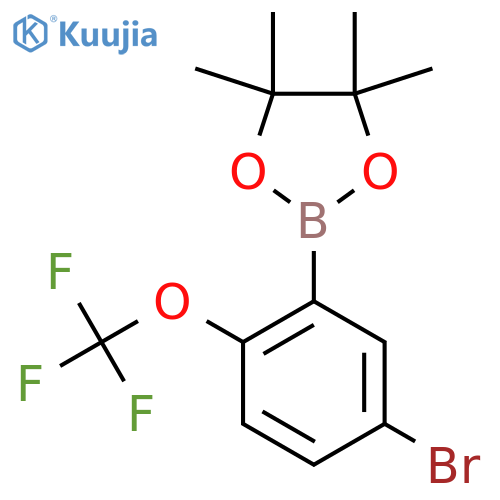 5-Bromo-2-trifluoromethoxyphenylboronic acid pinacol ester structure
