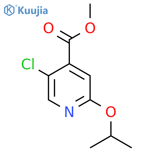 Methyl 5-chloro-2-(propan-2-yloxy)pyridine-4-carboxylate structure