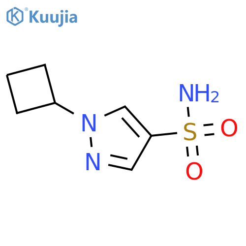 1-Cyclobutyl-1H-pyrazole-4-sulfonamide structure