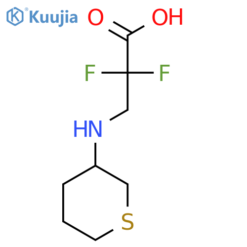 2,2-Difluoro-3-[(thian-3-yl)amino]propanoic acid structure