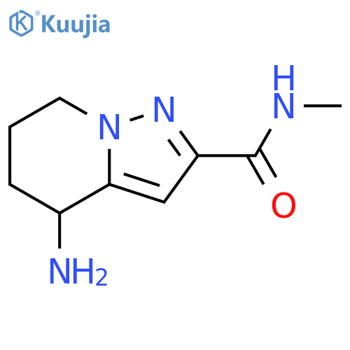 Pyrazolo[1,5-a]pyridine-2-carboxamide, 4-amino-4,5,6,7-tetrahydro-N-methyl- structure