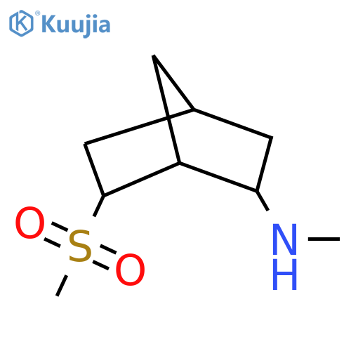 Bicyclo[2.2.1]heptan-2-amine, N-methyl-6-(methylsulfonyl)- structure
