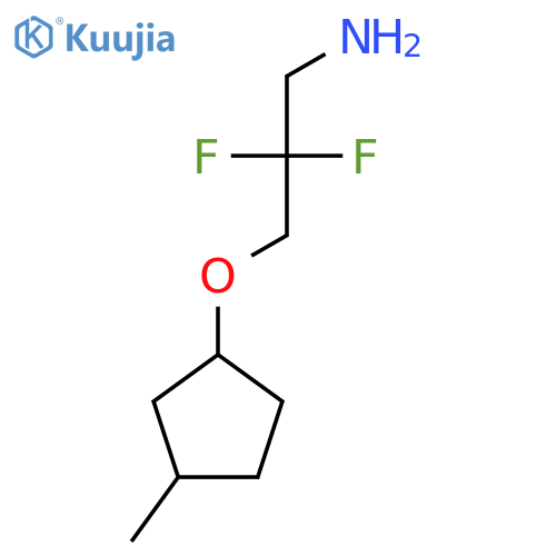 2,2-Difluoro-3-[(3-methylcyclopentyl)oxy]propan-1-amine structure