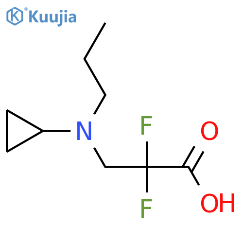 3-[Cyclopropyl(propyl)amino]-2,2-difluoropropanoic acid structure