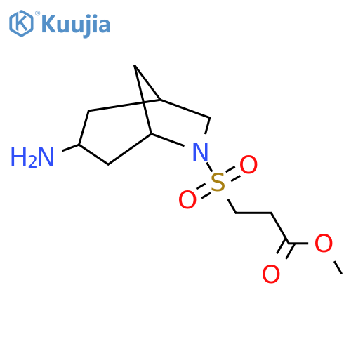 Methyl 3-({3-amino-6-azabicyclo[3.2.1]octan-6-yl}sulfonyl)propanoate structure