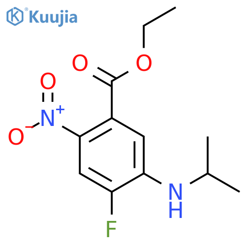 ethyl 4-fluoro-2-nitro-5-(propan-2-yl)aminobenzoate structure