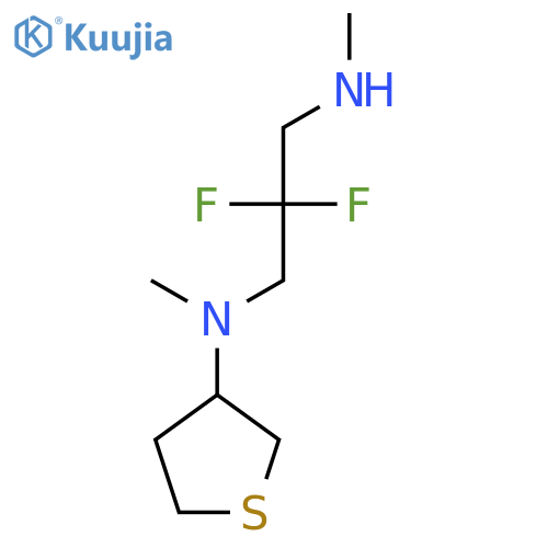 N-[2,2-difluoro-3-(methylamino)propyl]-N-methylthiolan-3-amine structure