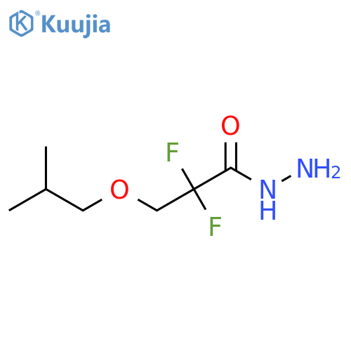2,2-Difluoro-3-(2-methylpropoxy)propanehydrazide structure