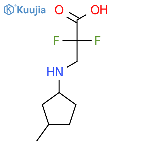 2,2-Difluoro-3-[(3-methylcyclopentyl)amino]propanoic acid structure