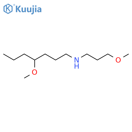 (4-Methoxyheptyl)(3-methoxypropyl)amine structure