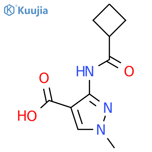 3-cyclobutaneamido-1-methyl-1H-pyrazole-4-carboxylic acid structure