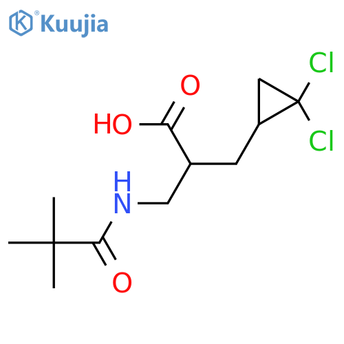 2-(2,2-dichlorocyclopropyl)methyl-3-(2,2-dimethylpropanamido)propanoic acid structure