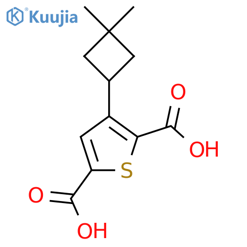 3-(3,3-Dimethylcyclobutyl)thiophene-2,5-dicarboxylic acid structure