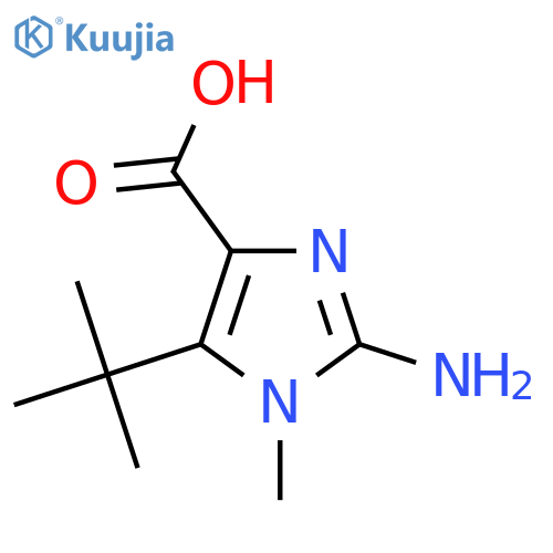 2-Amino-5-tert-butyl-1-methylimidazole-4-carboxylic acid structure