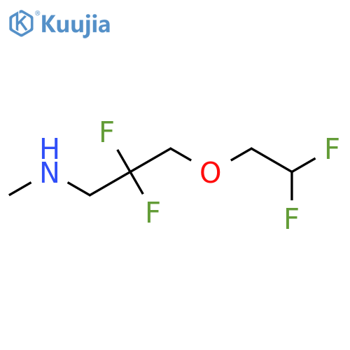 3-(2,2-difluoroethoxy)-2,2-difluoro-N-methylpropan-1-amine structure